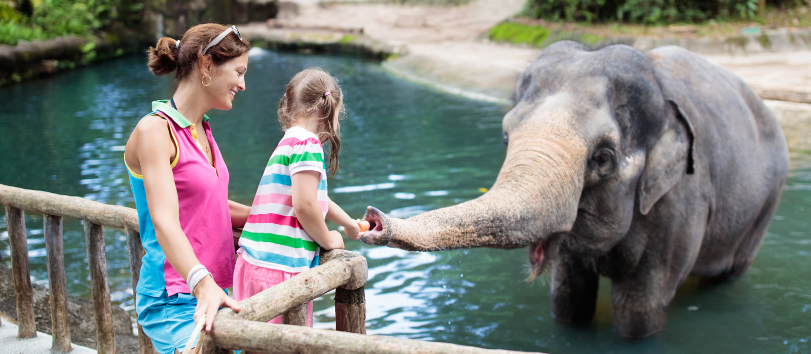 Birmingham Zoo